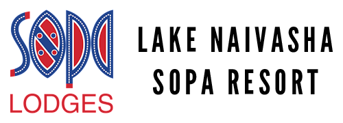 202411280936170.logo 3