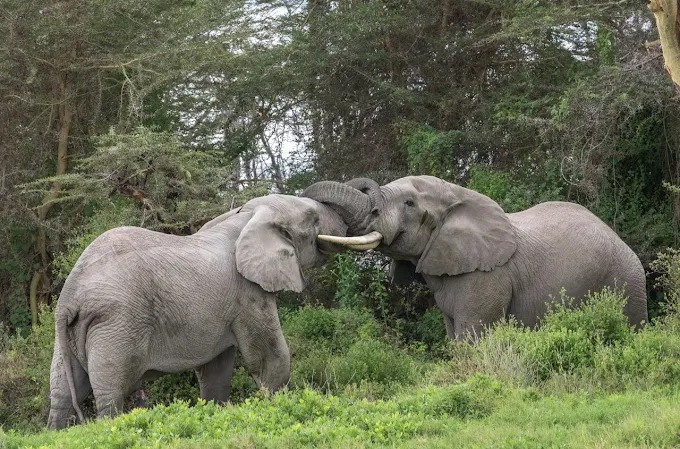 whatsapp image 2025 10 15 at 12.02.52 pm