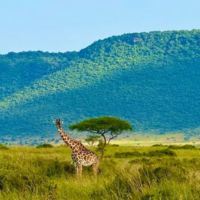 3 Days – The Great Rift Valley Getaway